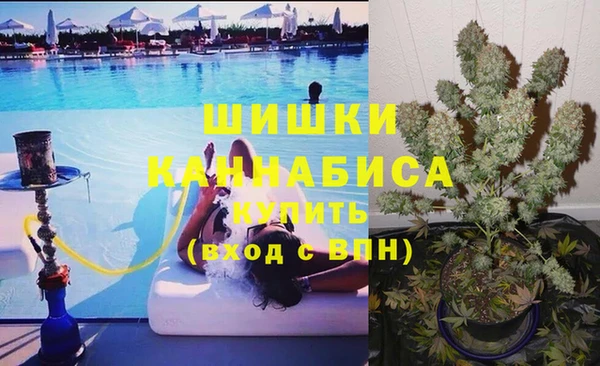 СК Краснослободск