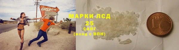 гашик Козельск