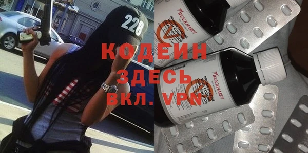гашик Козельск