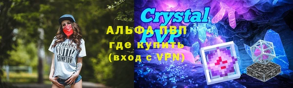 СК Краснослободск
