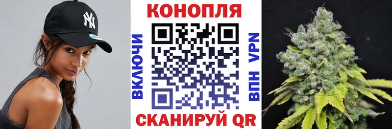 Шишки марихуана планчик  мега как войти  Кондрово  даркнет сайт 